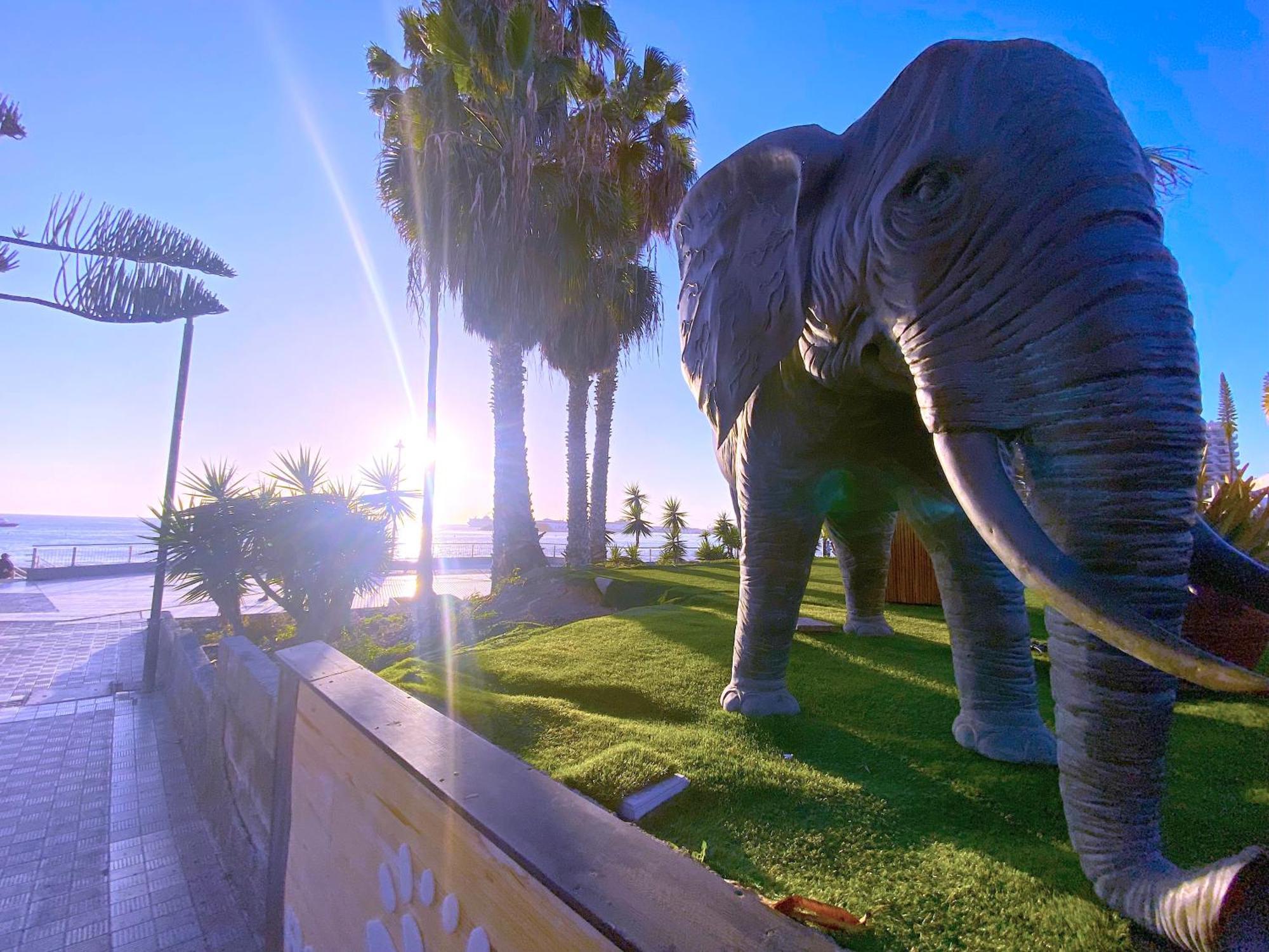 Apartmán Tropicalidays Cristianos Angel Los Cristianos  Exteriér fotografie